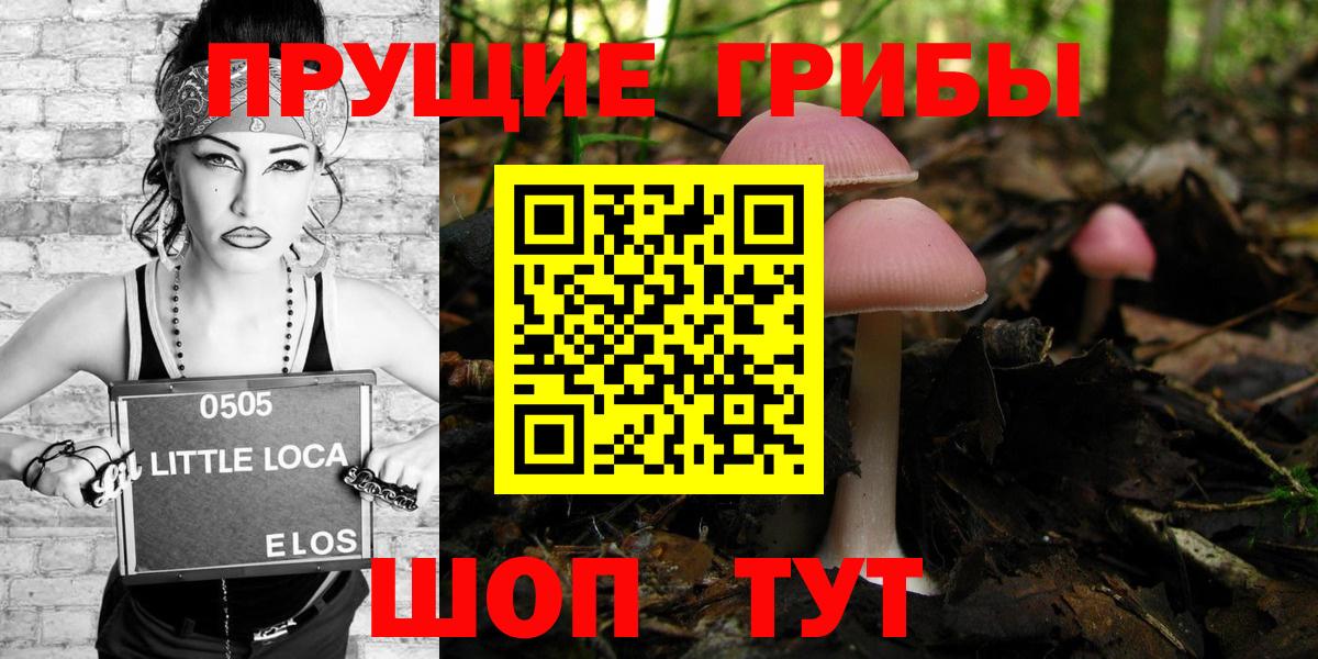 хочу   Псилоцибиновые грибы Psilocybine cubensis  Вход с VPN  Пушкино 